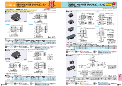 【標準】X軸アリ溝 ラック＆ピニオン