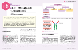 GLP-1受容体作動薬 （Dulaglutide）