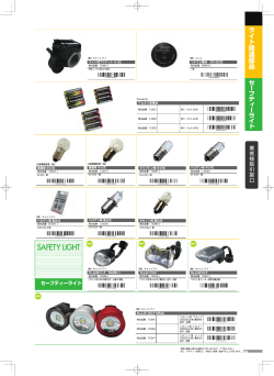SAFETY LIGHT