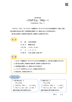 パラヂウム TRG－1