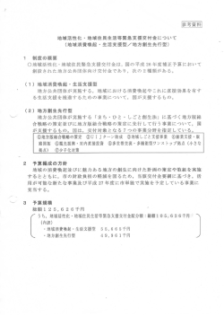 （地域消費喚起・生活支援型／地方創生先行型） （1）地域消費喚起・生活