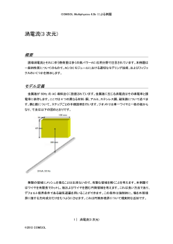 渦電流(3次元)・手順書(PDF形式)