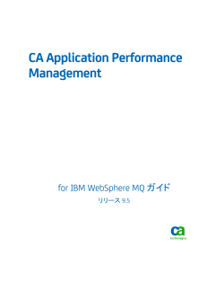 CA Application Performance Management for IBM WebSphere MQ