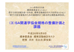 （3）SA関連学協会規格の整備計画と 課題