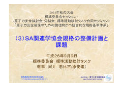 （3）SA関連学協会規格の整備計画と 課題