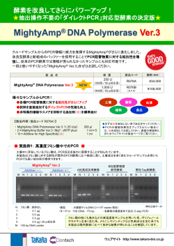 MightyAmp DNA Polymerase Ver.3