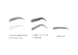 （上）輪郭がハッキリしている眉 （下）角度が急な眉 （上）整えすぎ