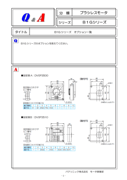 分 類 ブラシレスモータ B1Gシリーズ