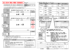 記入見本（保佐・補助・任意後見）