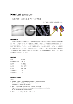 分子細胞生物学研究室 (研究内容PDF)