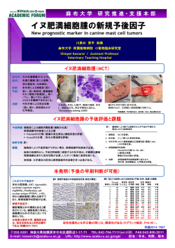 イヌ肥満細胞腫の新規予後因子：PDF（442KB）