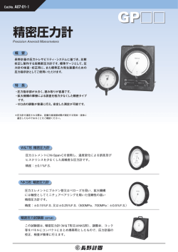 GP - 長野計器