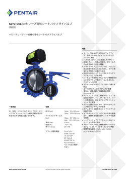 Keystone GRシリーズ弾性シートバタフライバルブ