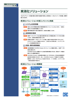 実消化ソリューション