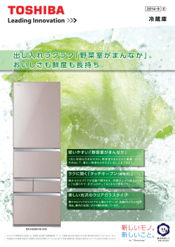 メーカーカタログ(PDFファイル)
