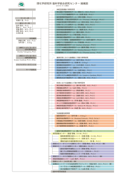 理研BSI 組織図