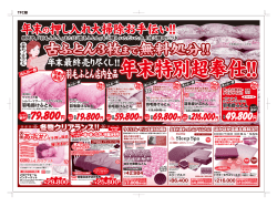 ホワイトダウン85%