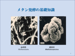 メタン発酵の基礎知識 - 再生可能エネルギー推進協会