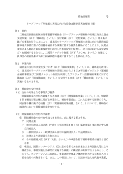 リープフロッグ型発展の実現に向けた資金支援事業実施要領