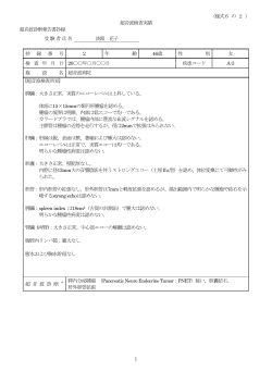 記入例2 - 日本超音波医学会