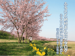 謝礼品カタログ（H27.4.1現在）.pdf