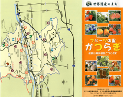 世界遺産のまち - かつらぎ町観光協会