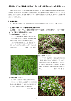 写真（PDF：2367KB）