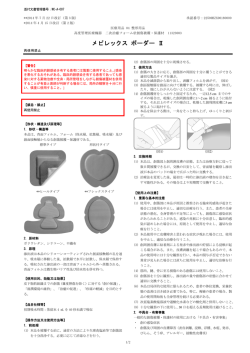 PDFファイル