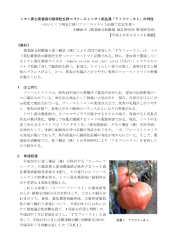 トマト黄化葉巻病の耐病性を持つファーストトマト新品種「TY