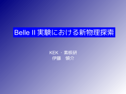 Belle II 実験における新物理探索