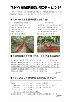 ブドウ根域制限栽培にチャレンジ
