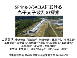 SPring-‐8/SACLAにおける 光子光子散乱の探索