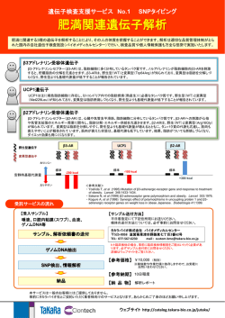 肥満関連遺伝子検査（PDF） - タカラバイオ株式会社 遺伝子工学研究