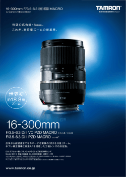 16-300mm