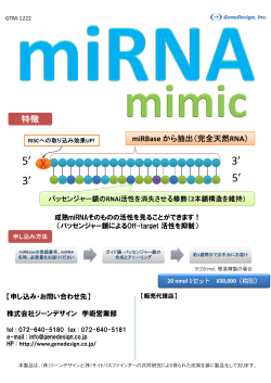 miRNA mimic