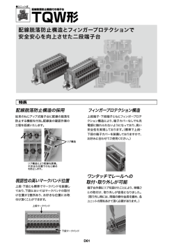 詳細資料を見る(0.8MB)