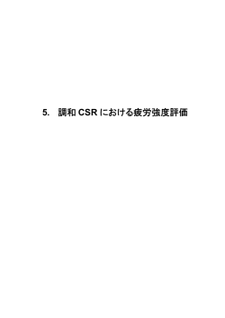5. 調和 CSR における疲労強度評価