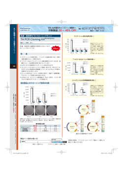 TA PCR Cloning Kit