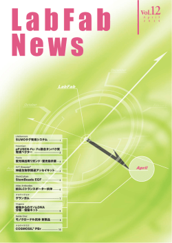 PDF版 ダウンロード（2.2MB）