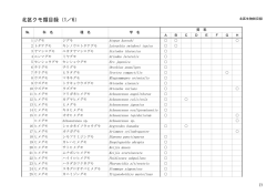 北区クモ類目録（1／6）