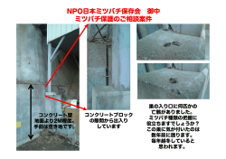 ファイルはこちらです - NPO日本みつばち保存会
