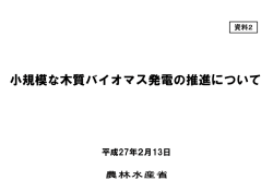資料2 小規模な木質バイオマス発電の推進について（PDF