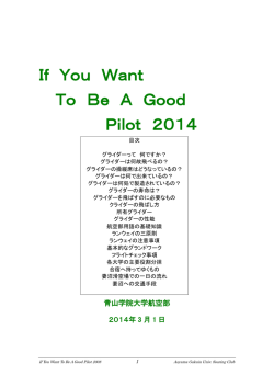 If You Want To Be A Good Pilot 2014