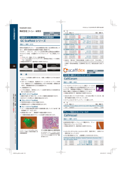 GC Scaffold シリーズ CellCeram CellVessel