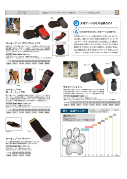 実寸 足幅チェッカーはこちら