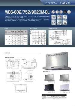 P21-22 [OK] WVS WBS