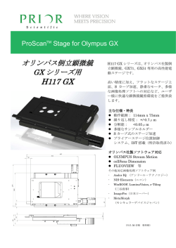H117 GX