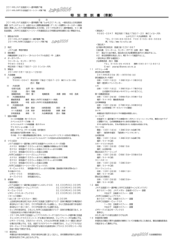 特別規則書 - RTC ウェブサイト