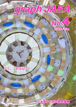 graph JAEA - 日本原子力研究開発機構