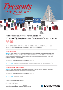 TC Electronicウィンター・プレゼント・キャンペーン申込書